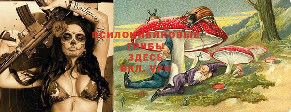 синтетический гашиш Карпинск