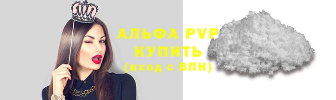 спиды Касимов